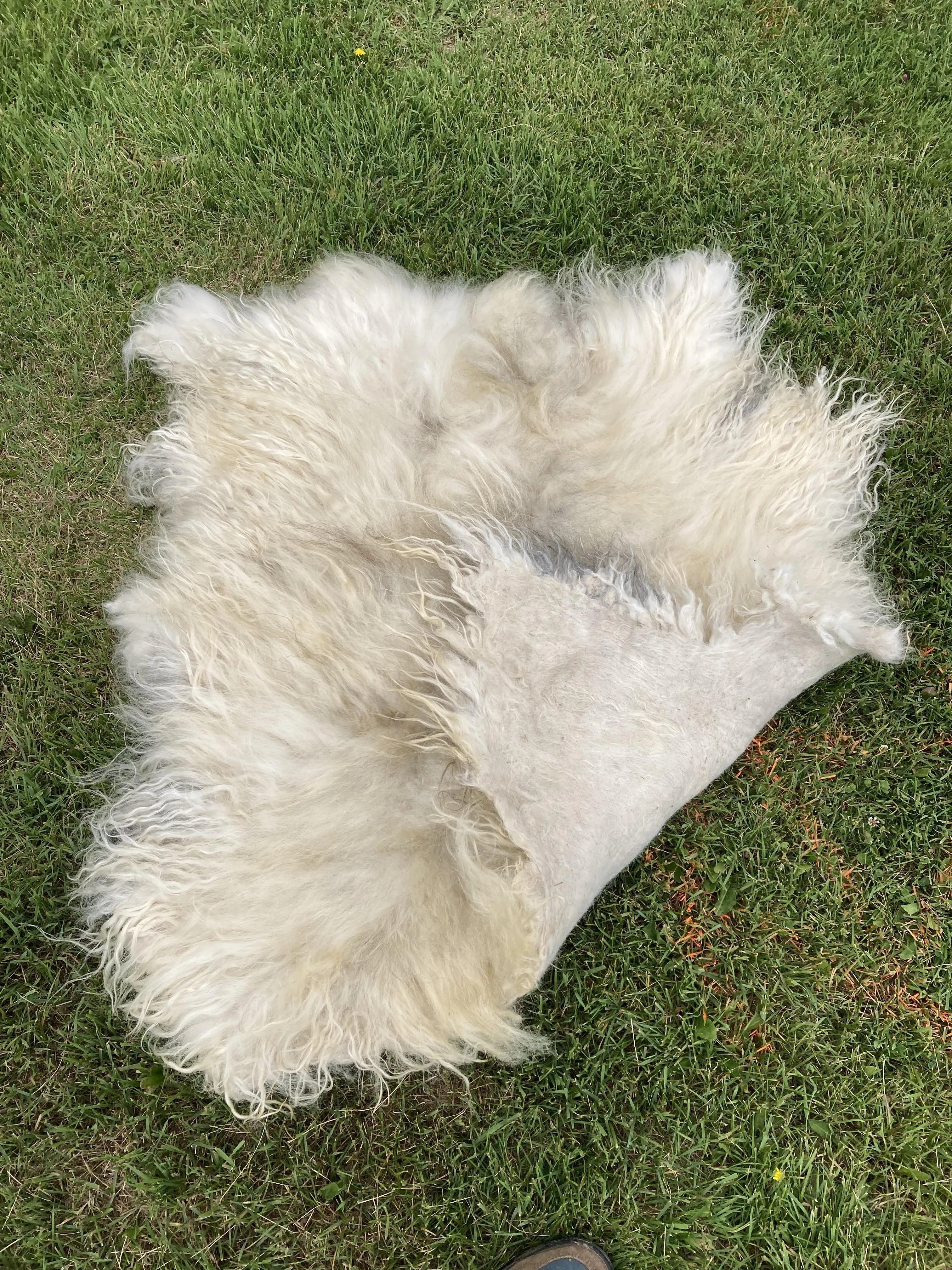 Icelandic Wool Felted Pelt (Custom-Made to Order)