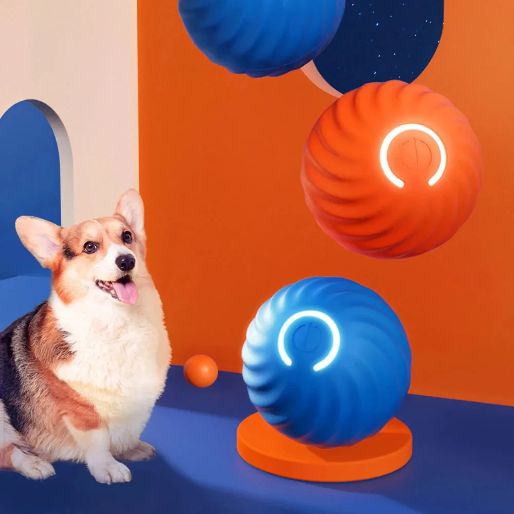 Interactive Dog Ball Toy