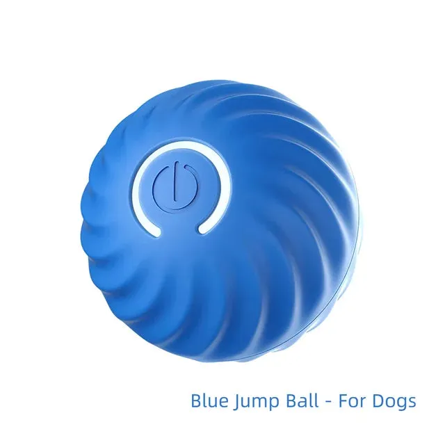 Interactive Dog Ball Toy