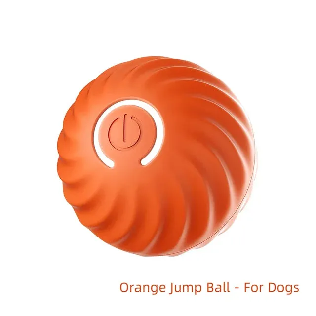 Interactive Dog Ball Toy