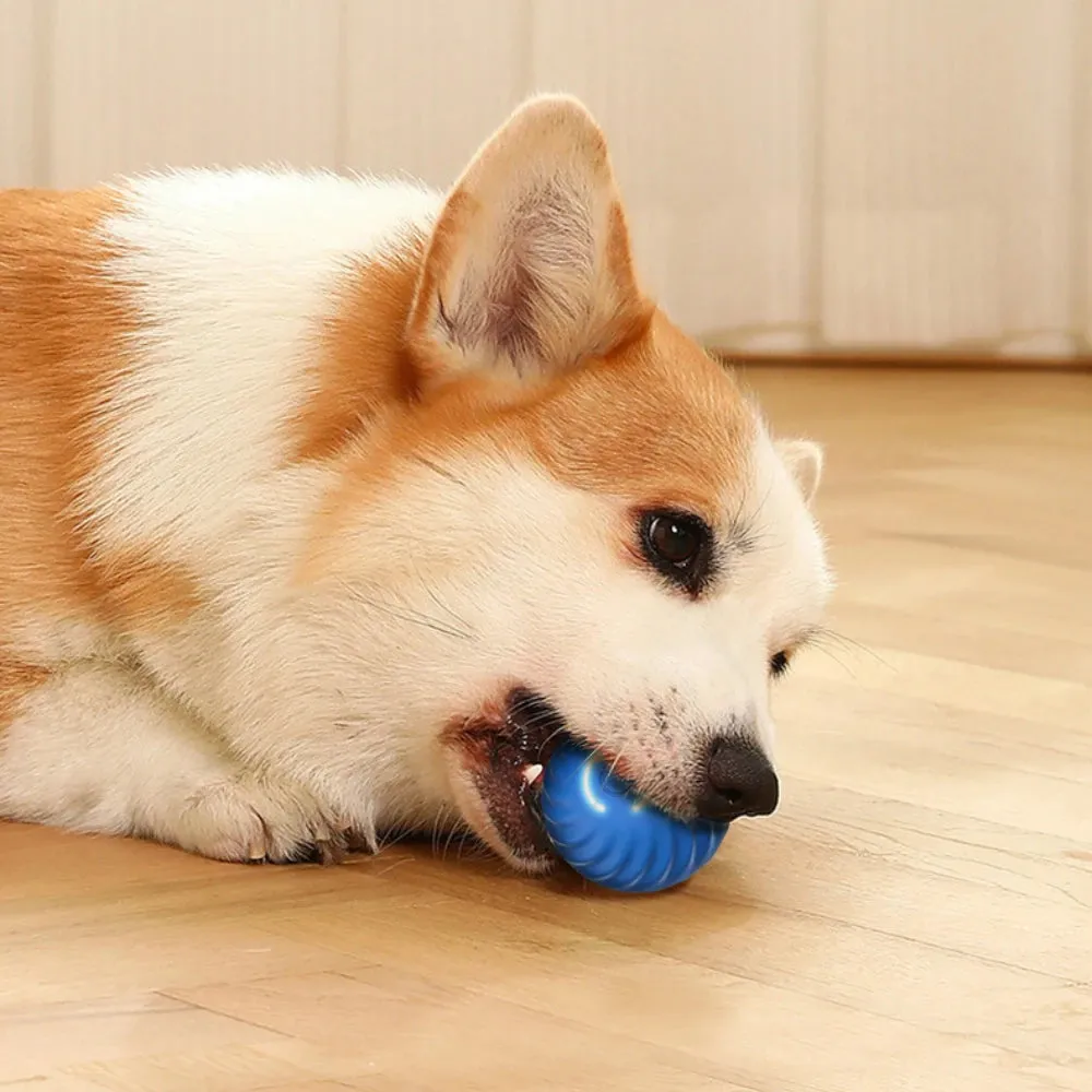 Interactive Dog Ball Toy