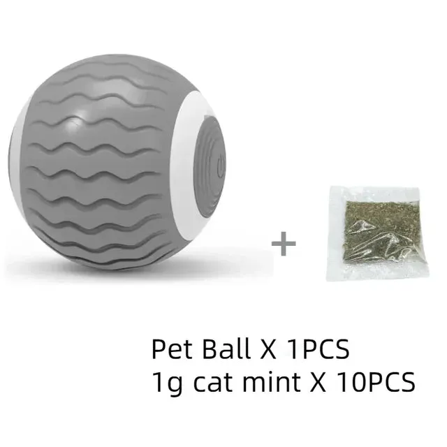 Interactive Dog Ball Toy