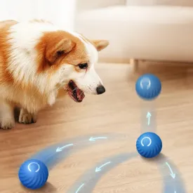 Interactive Dog Ball Toy
