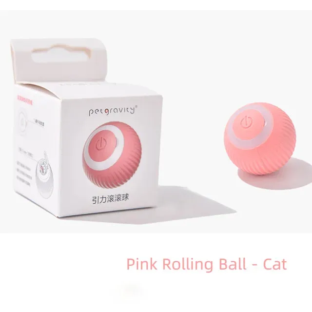 Interactive Dog Ball Toy