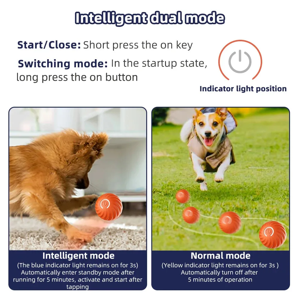 Interactive Smart Dog Toy Ball & Shell