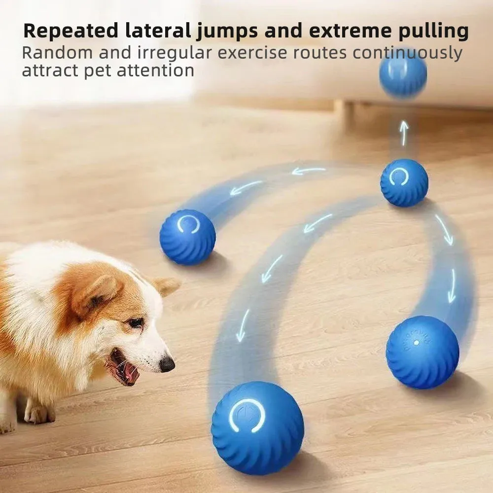 Interactive Smart Dog Toy Ball & Shell
