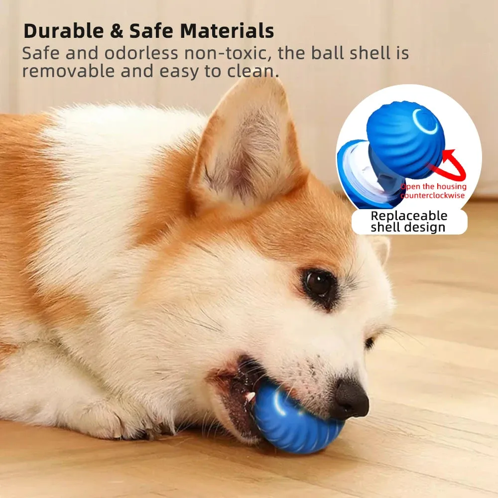 Interactive Smart Dog Toy Ball & Shell
