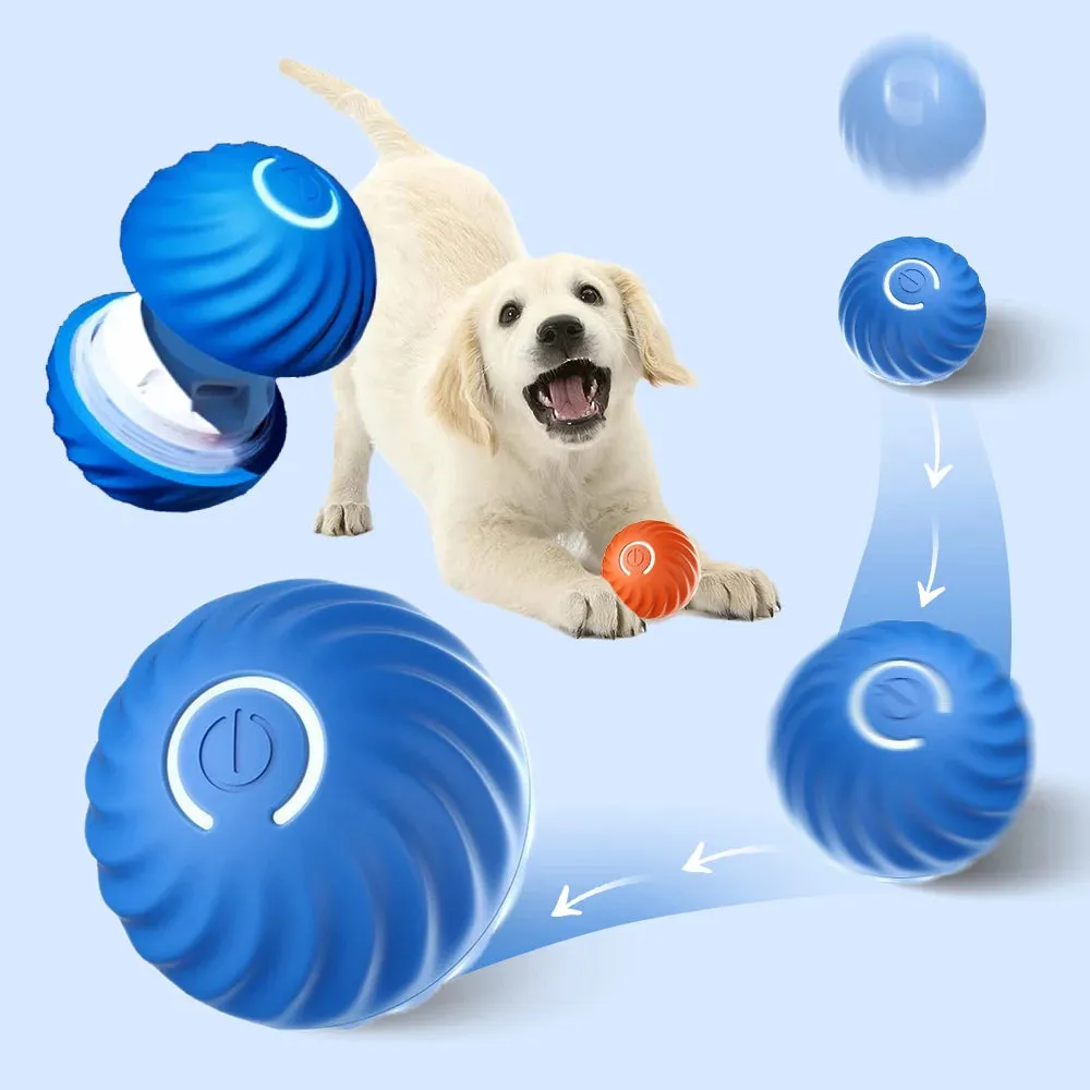 Interactive Smart Dog Toy Ball & Shell
