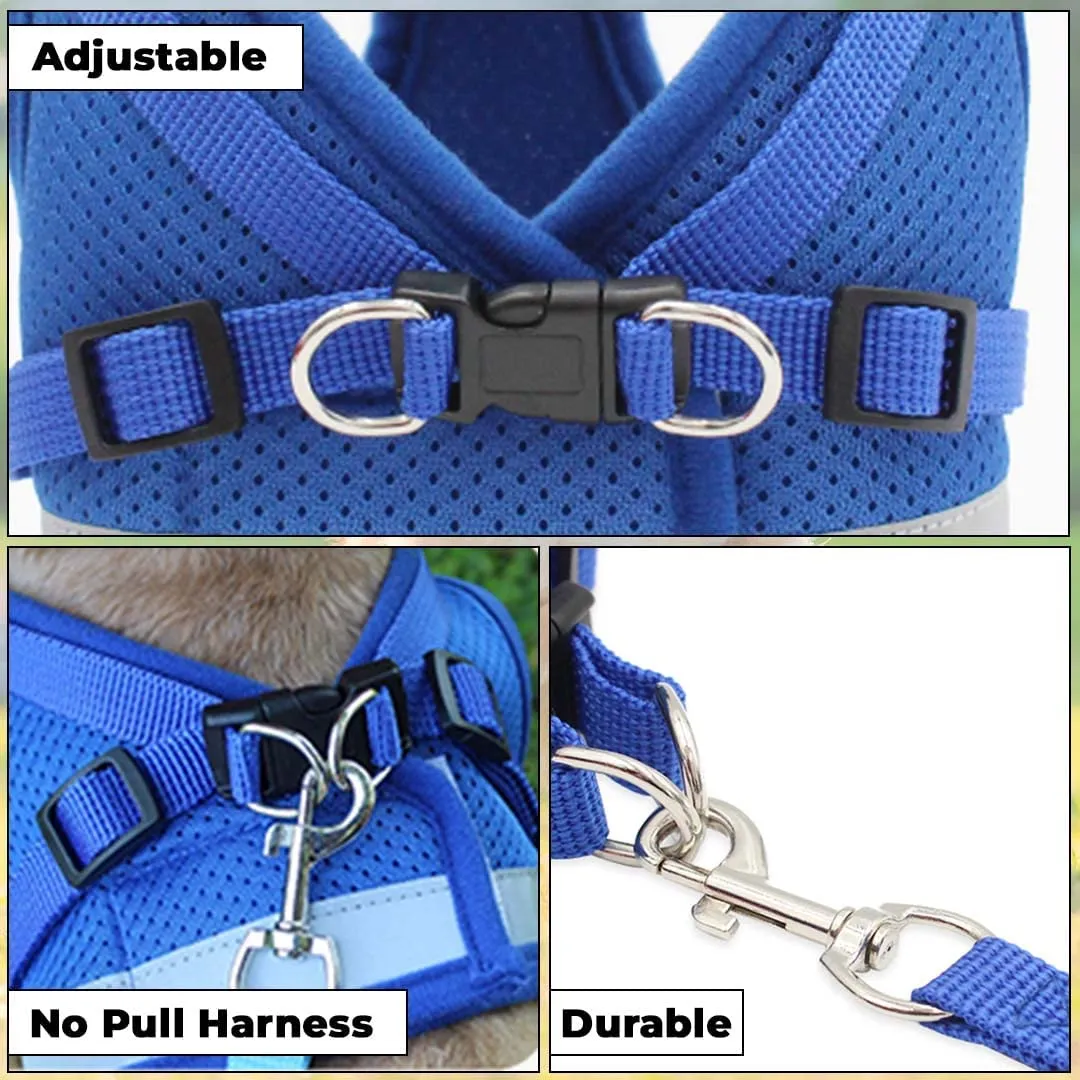 Kuber Industries Reflective Dog Harness with Adjustable Leash|Breathable Polyester Mesh Fabric |Large Size|HT-844|Comfortable No-Pull Grip|Quick Release Buckles|Easy On-Off Harness|Blue (Pack of 6)