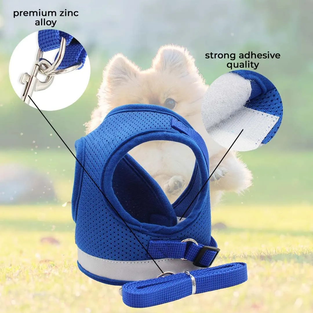 Kuber Industries Reflective Dog Harness with Adjustable Leash|Breathable Polyester Mesh Fabric |Large Size|HT-844|Comfortable No-Pull Grip|Quick Release Buckles|Easy On-Off Harness|Blue (Pack of 6)