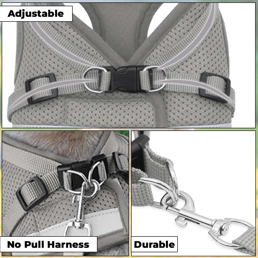 Kuber Industries Reflective Dog Harness with Adjustable Leash|Breathable Polyester Mesh Fabric |Large Size|HT-844|Comfortable No-Pull Grip|Quick Release Buckles|Easy On-Off Harness|Grey (Pack of 6)