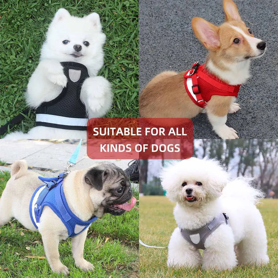 Kuber Industries Reflective Dog Harness with Adjustable Leash|Breathable Polyester Mesh Fabric |Large Size|HT-844|Comfortable No-Pull Grip|Quick Release Buckles|Easy On-Off Harness|Grey (Pack of 6)