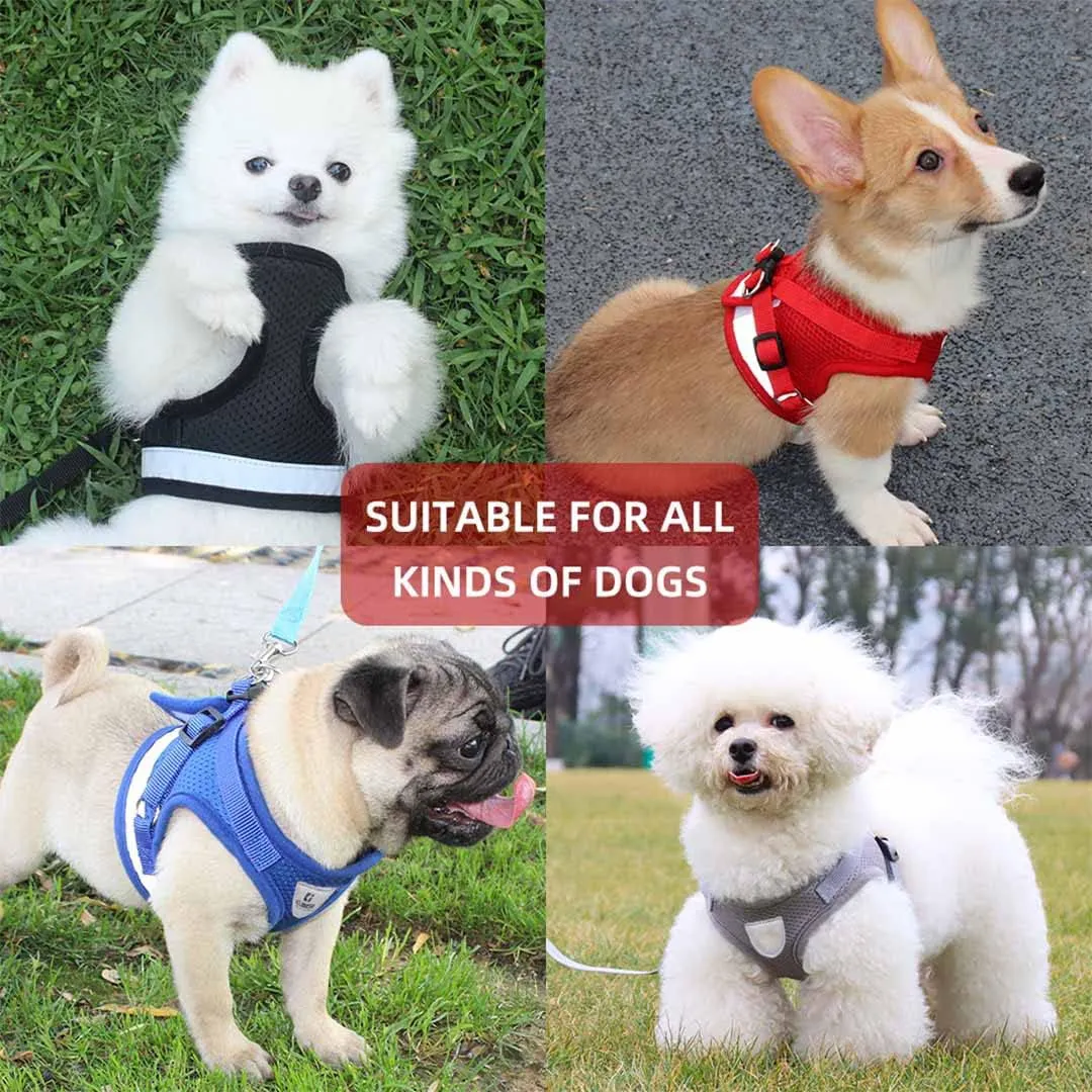 Kuber Industries Reflective Dog Harness with Adjustable Leash|Breathable Polyester Mesh Fabric |Medium Size|HT-844|Comfortable No-Pull Grip|Quick Release Buckles|Easy On-Off Harness|Blue (Pack of 4)
