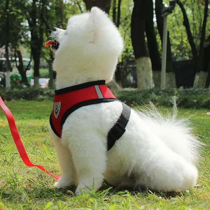 Kuber Industries Reflective Dog Harness with Adjustable Leash|Breathable Polyester Mesh Fabric with Top Carry Handle|Medium Size|HAT-818|Comfortable No-Pull Grip|Quick Release Buckles|Red (Pack of 5)