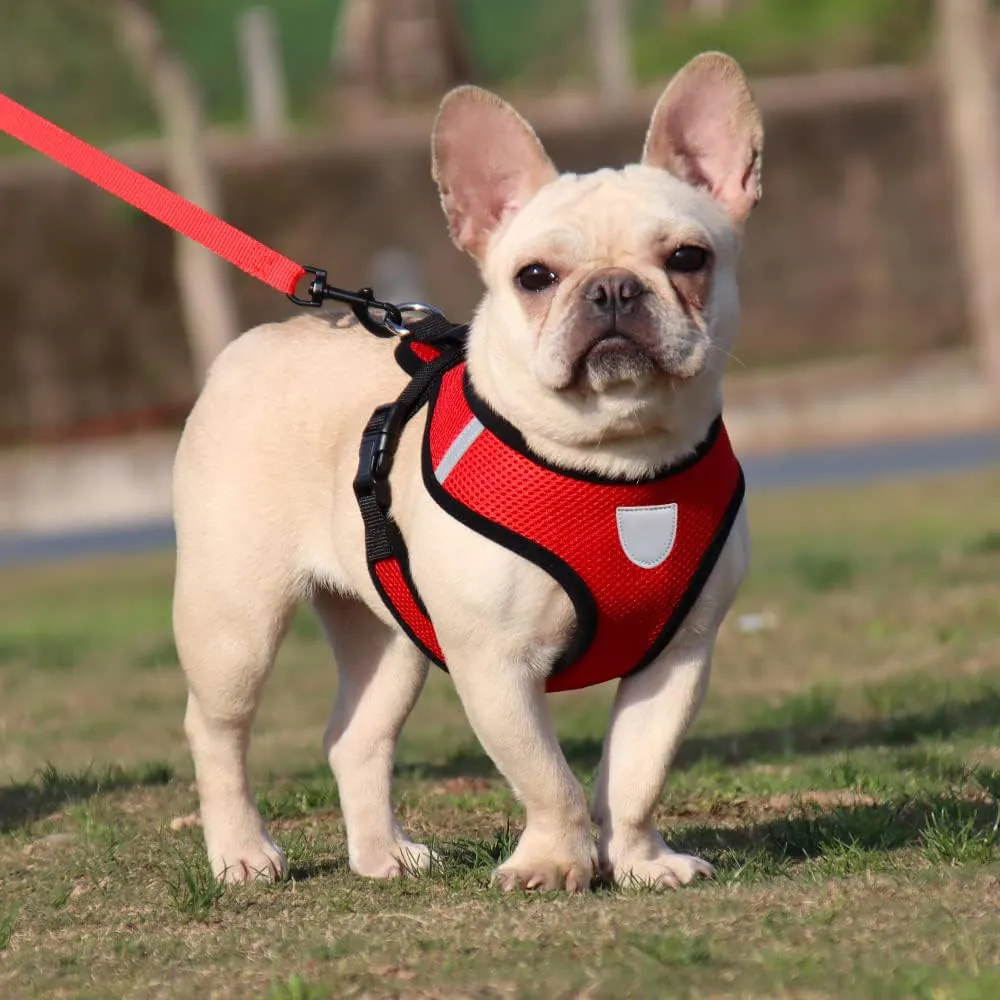 Kuber Industries Reflective Dog Harness with Adjustable Leash|Breathable Polyester Mesh Fabric with Top Carry Handle|Medium Size|HAT-818|Comfortable No-Pull Grip|Quick Release Buckles|Red (Pack of 5)