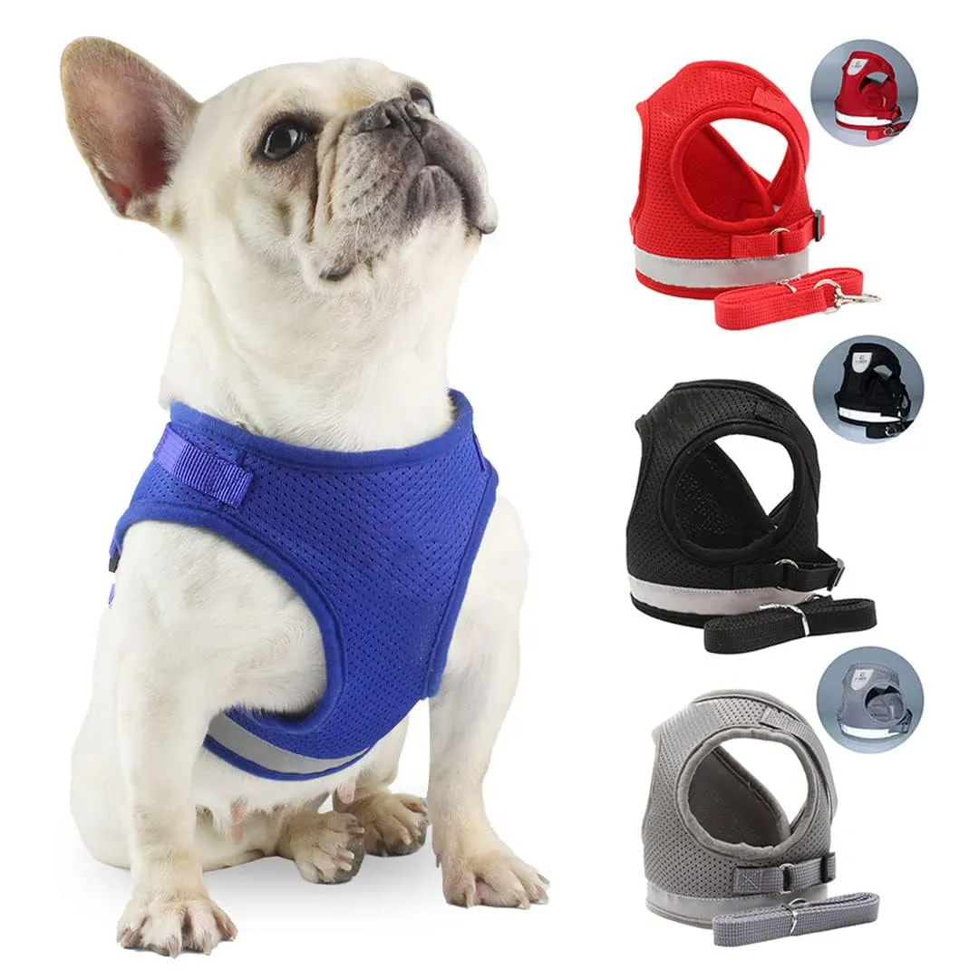 Kuber Industries Reflective Dog Harness With Adjustable Leash|Breathable Polyester Mesh Fabric |XL Size|HT-844|Comfortable No-Pull Grip|Quick Release Buckles|Easy On-Easy Off Harness|Black (Pack Of 5)