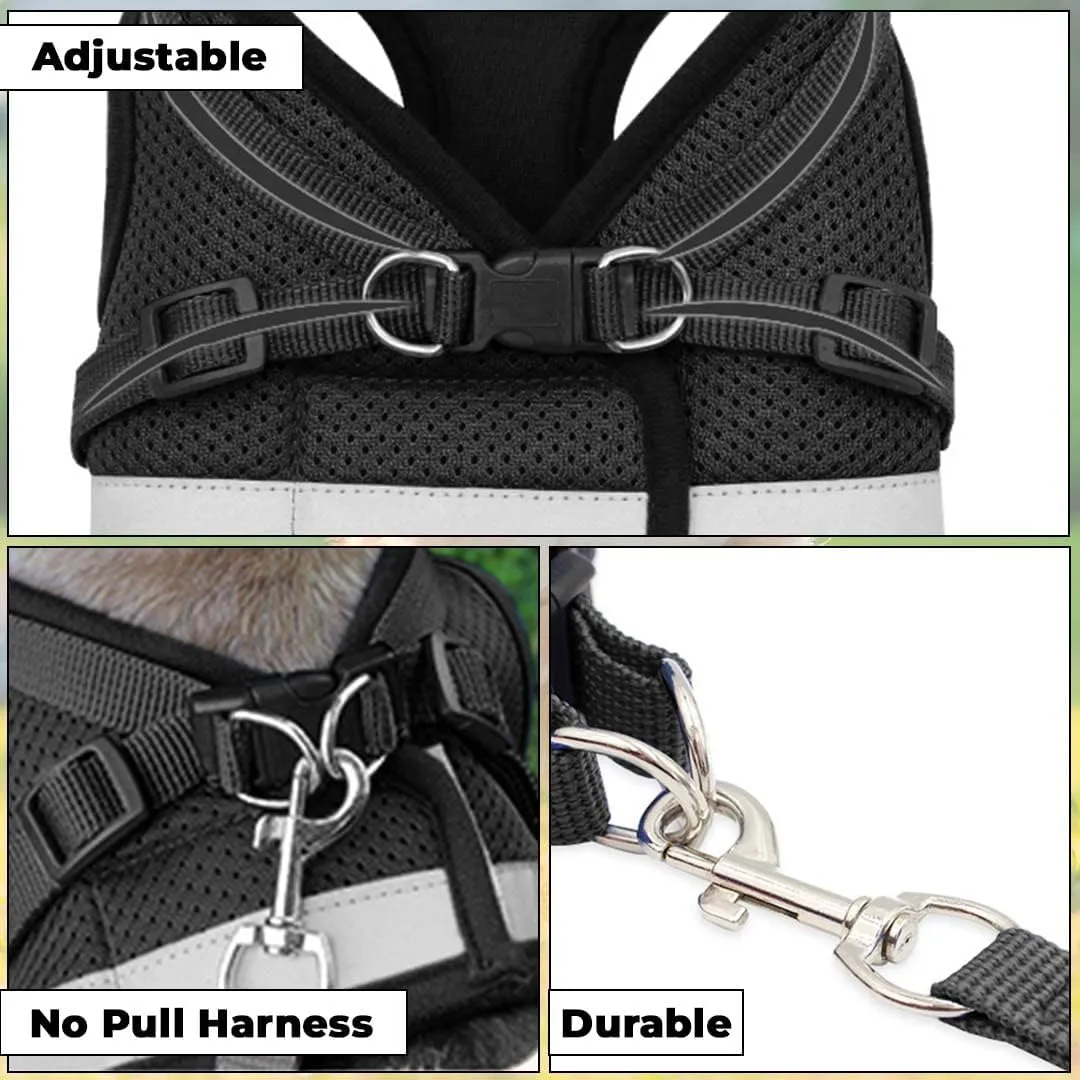 Kuber Industries Reflective Dog Harness With Adjustable Leash|Breathable Polyester Mesh Fabric |XL Size|HT-844|Comfortable No-Pull Grip|Quick Release Buckles|Easy On-Easy Off Harness|Black (Pack Of 5)