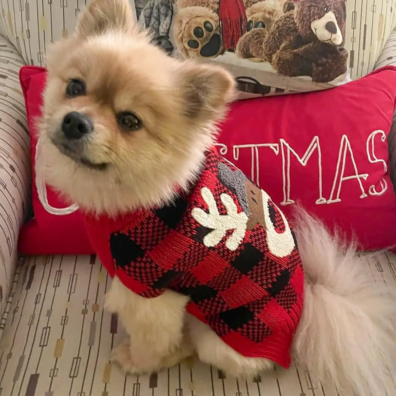 KYEESE Dog Christmas Sweater Reindeer Small Dog Christmas Sweater Red Buffalo Check with Leash Hole Pet Sweater with Dog Christmas Outfit Pet Clothes,M
