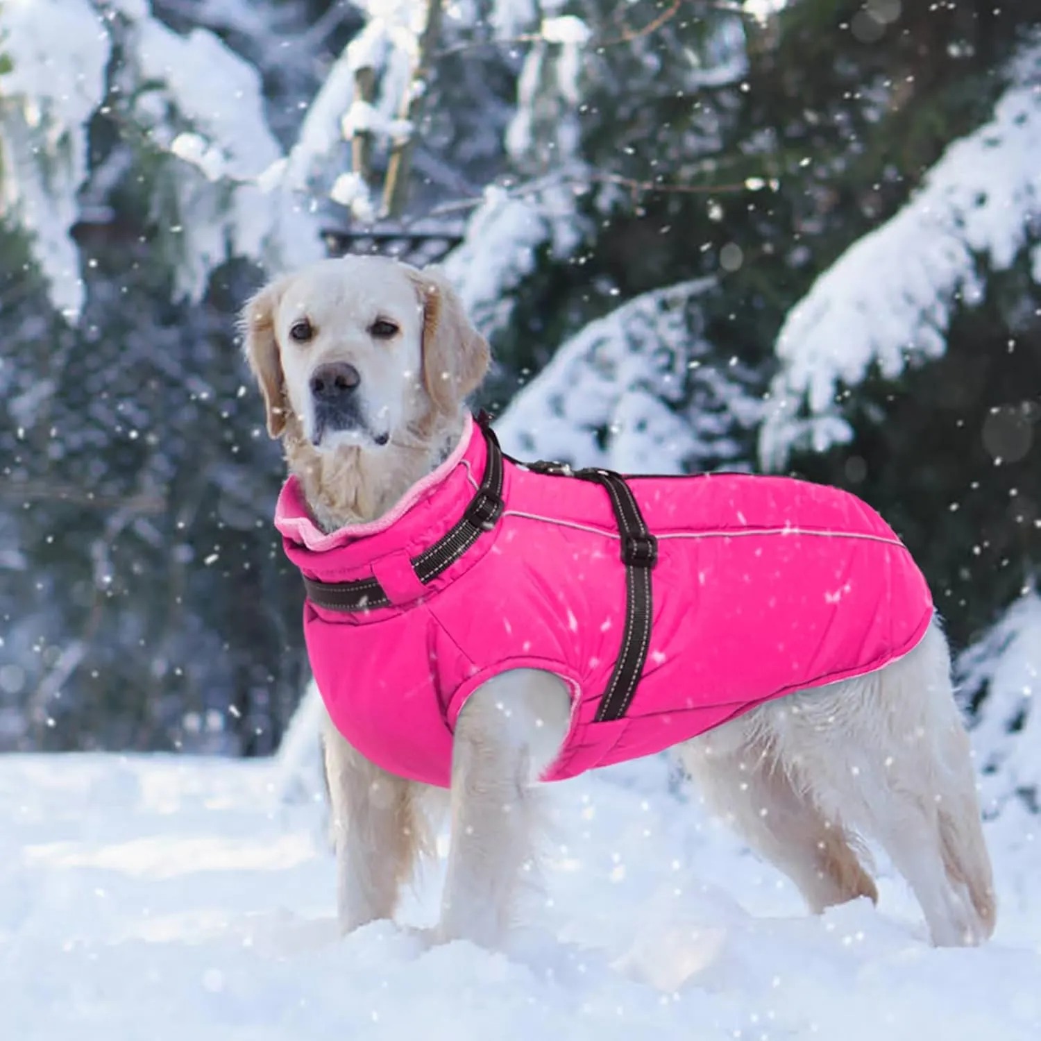 Lelepet Waterproof Dog Jacket with Back Zipper & Harness - Warm Reflective Winter Coat for Small Medium Large Dogs - Thick Fleece Lined Puppy Vest for Outdoor Walking Running, Hiking, Rose Red, M