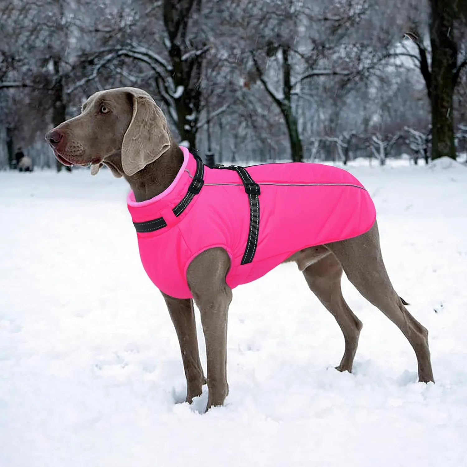 Lelepet Waterproof Dog Jacket with Back Zipper & Harness - Warm Reflective Winter Coat for Small Medium Large Dogs - Thick Fleece Lined Puppy Vest for Outdoor Walking Running, Hiking, Rose Red, M
