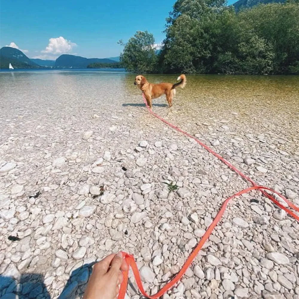 Long Leash Waterproof Training Longline Outdoor Dog Leash Great for Training, Beach, Yard, Play, Camping