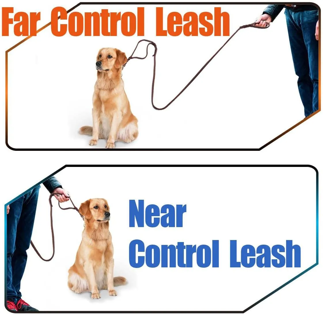 LWBMG Double Handle Leather Dog Leash 6 Foot - Heavy Duty Dog Leash with Traffic Handle - Braided Leather Lead for Small Medium Large Dogs