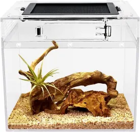 Mini Reptile Terrarium,8" x 8"x 8" Reptile Tank with Full View Visually Appealingfor InsectFishTarantulaHermit CrabJumping SpiderIguanaTortoiseLeopard GeckoFrogBearded Dragon