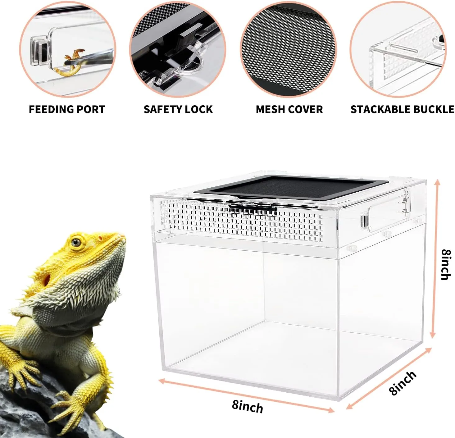 Mini Reptile Terrarium,8" x 8"x 8" Reptile Tank with Full View Visually Appealingfor InsectFishTarantulaHermit CrabJumping SpiderIguanaTortoiseLeopard GeckoFrogBearded Dragon