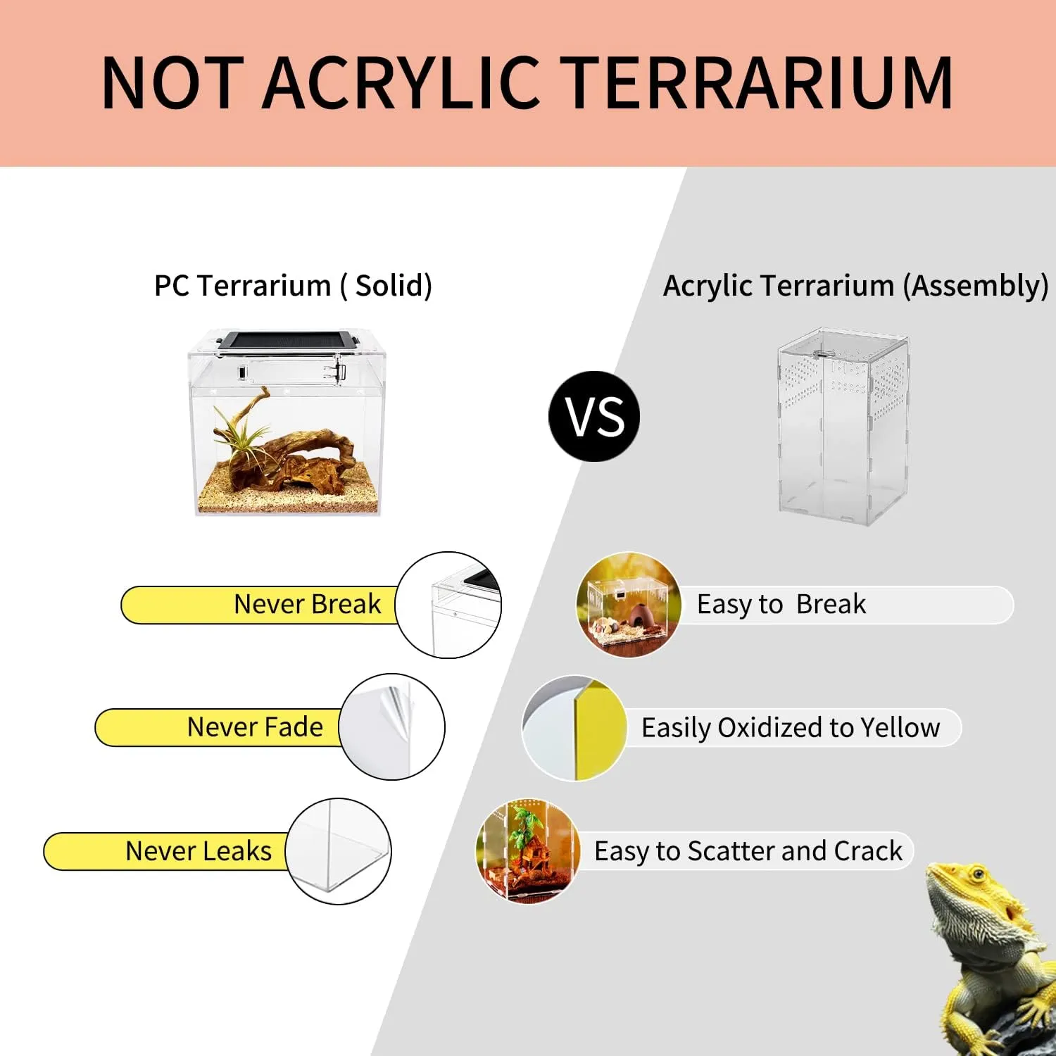 Mini Reptile Terrarium,8" x 8"x 8" Reptile Tank with Full View Visually Appealingfor InsectFishTarantulaHermit CrabJumping SpiderIguanaTortoiseLeopard GeckoFrogBearded Dragon