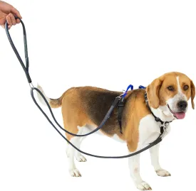 No Pull Dog Harness with Two Points Control Leash Set, Neck Buckle, Aluminum D-Rings, 6 Points Adjustment, Easy Walking and Training, Leash with 2 Clips (Harness-Leash Set, XL)