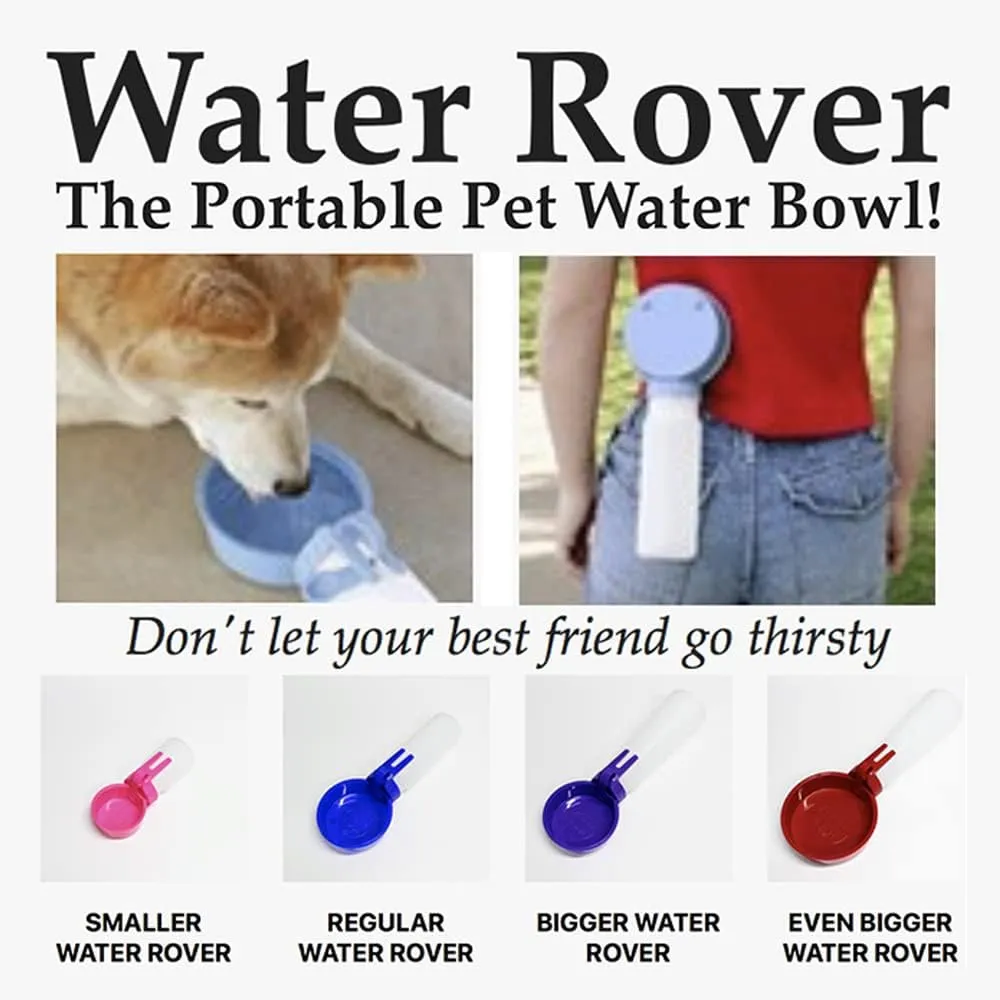 OFT Water Rover Regular 4-Inch Bowl and 15-Ounce Bottle, Red