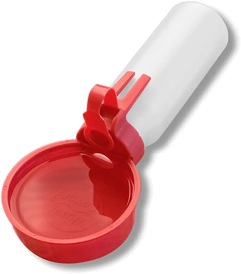 OFT Water Rover Regular 4-Inch Bowl and 15-Ounce Bottle, Red