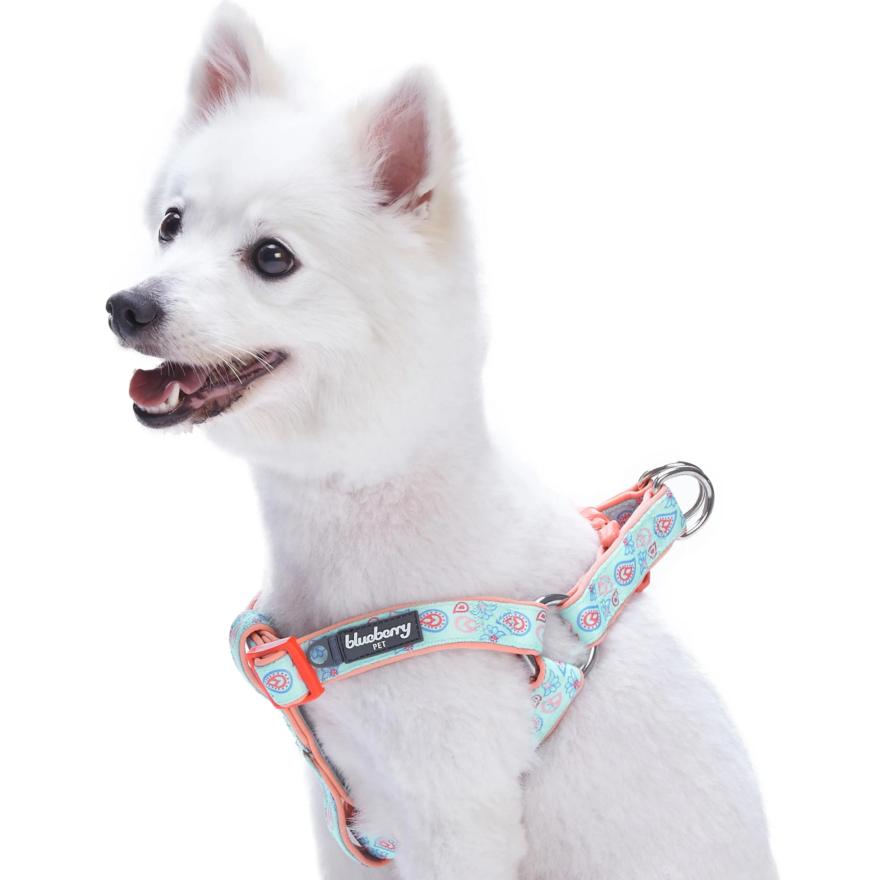 Paisley Print Padded Dog Harness