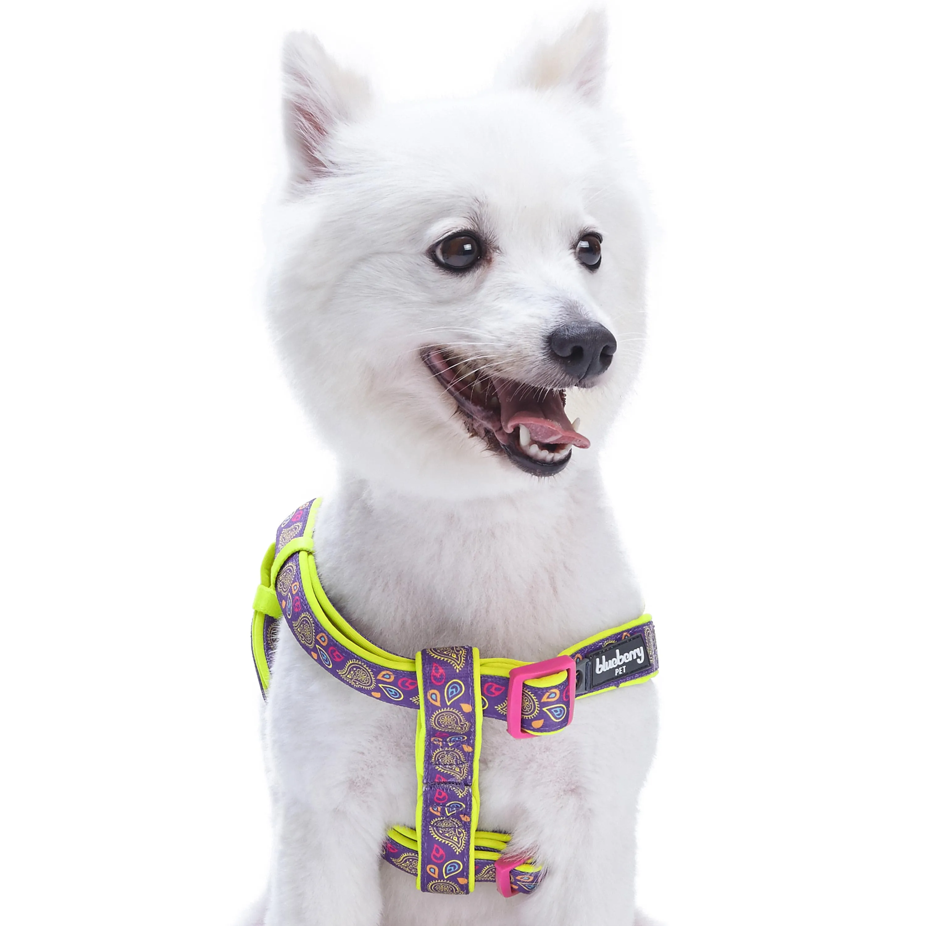 Paisley Print Padded Dog Harness