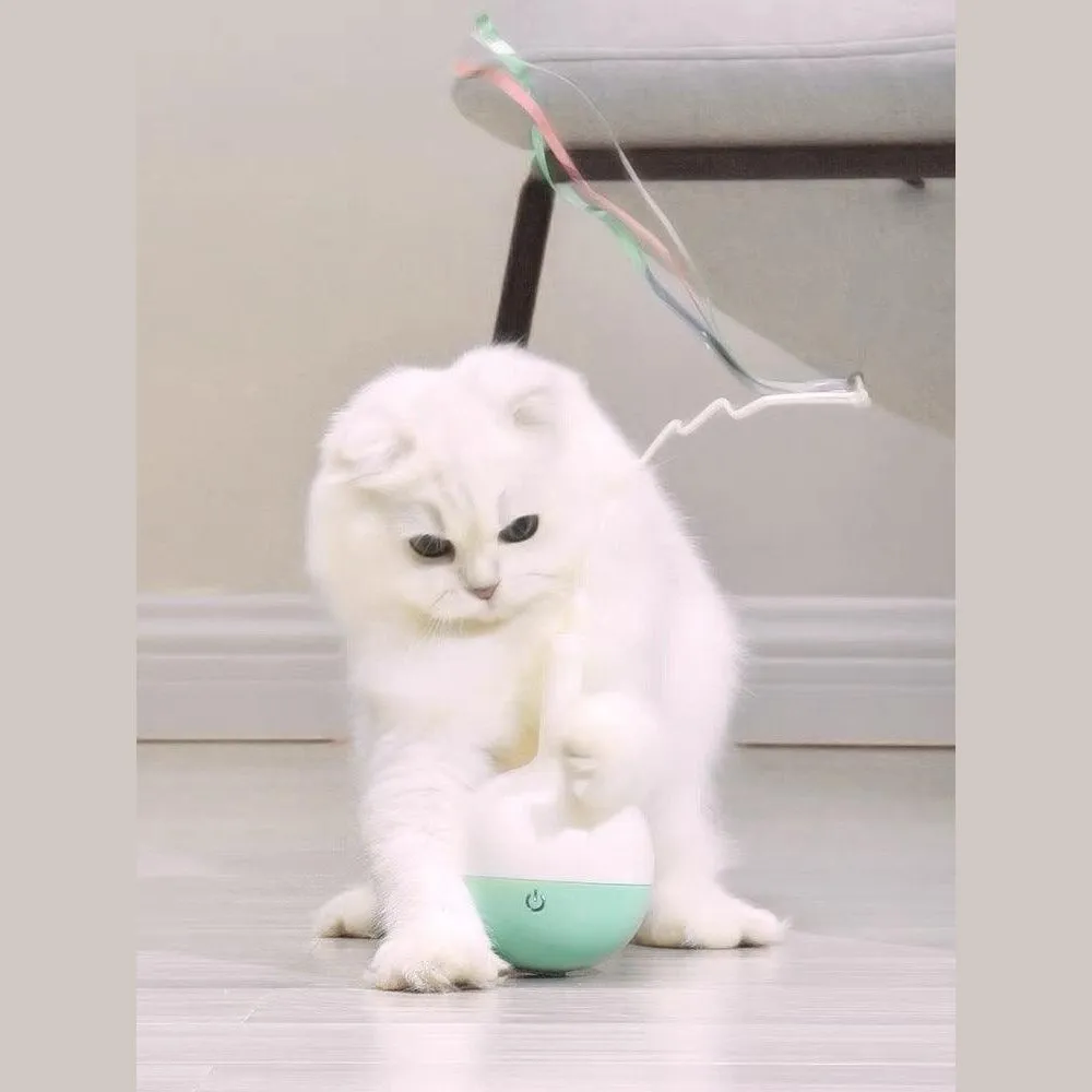 PAKEWAY Wine Bottle Automatic Cat Toy