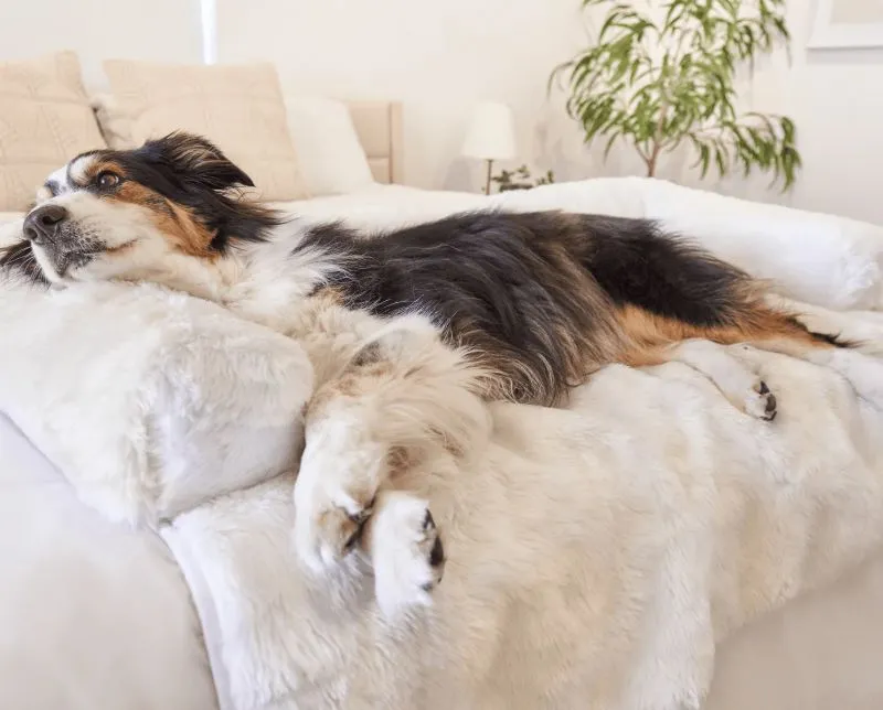 Paw Brands, PupProtector™ Waterproof Couch Lounger, Polar White