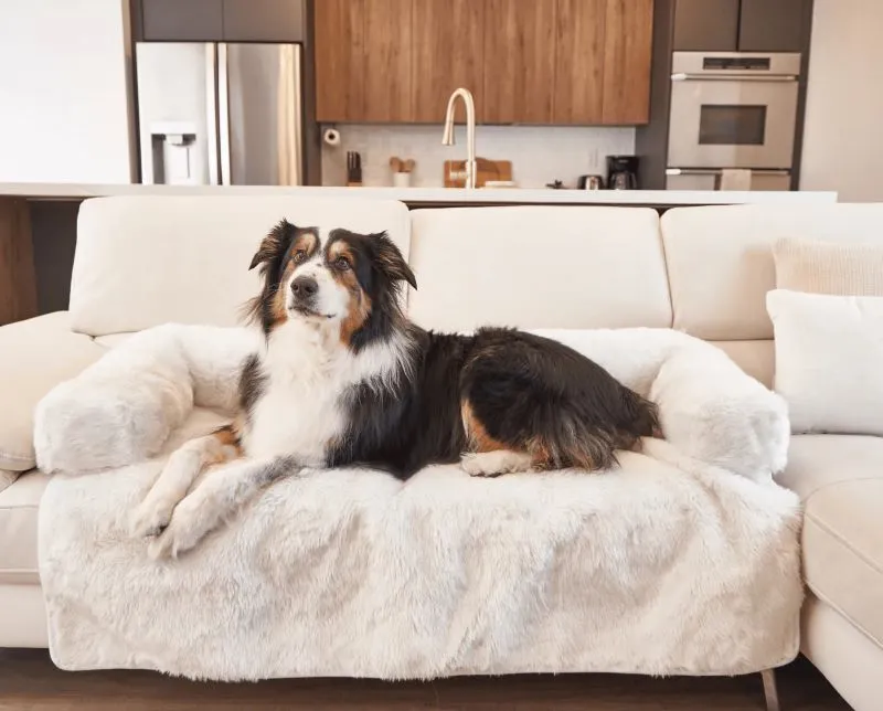 Paw Brands, PupProtector™ Waterproof Couch Lounger, Polar White