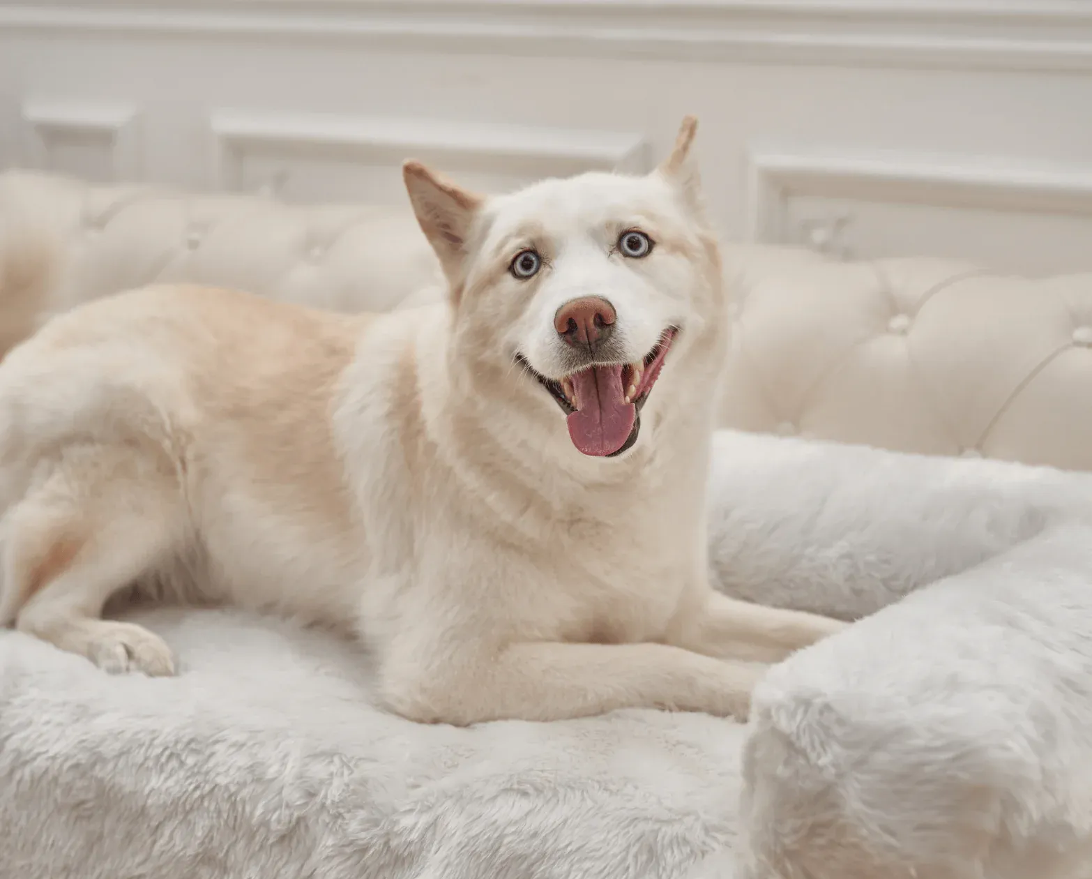 Paw Brands, PupProtector™ Waterproof Couch Lounger, Polar White