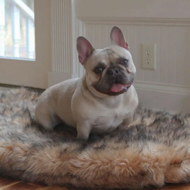Paw Brands, PupRug™ Faux Fur Orthopedic Dog Bed, Curve Sable Tan