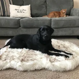 Paw Brands, PupRug™ Faux Fur Orthopedic Dog Bed, Curve White with Brown Accents