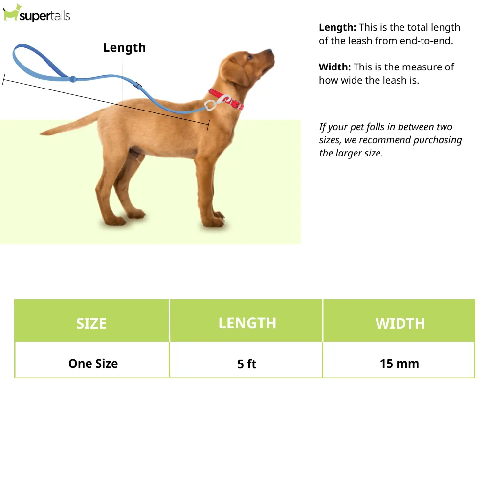 Pawpourri Retractable Leash for Dogs (Blue)
