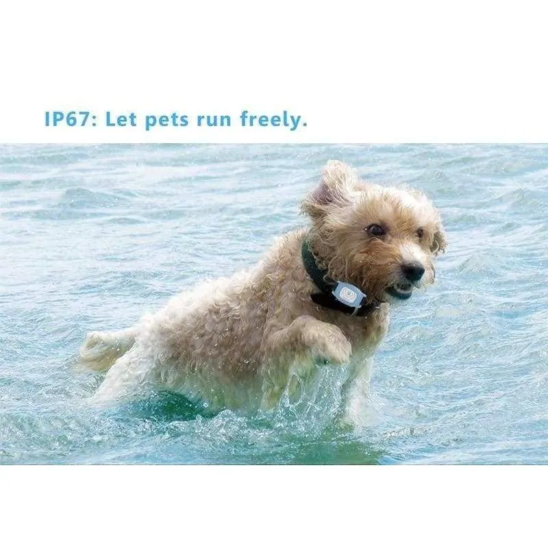 Pet Collar GPS Tracker