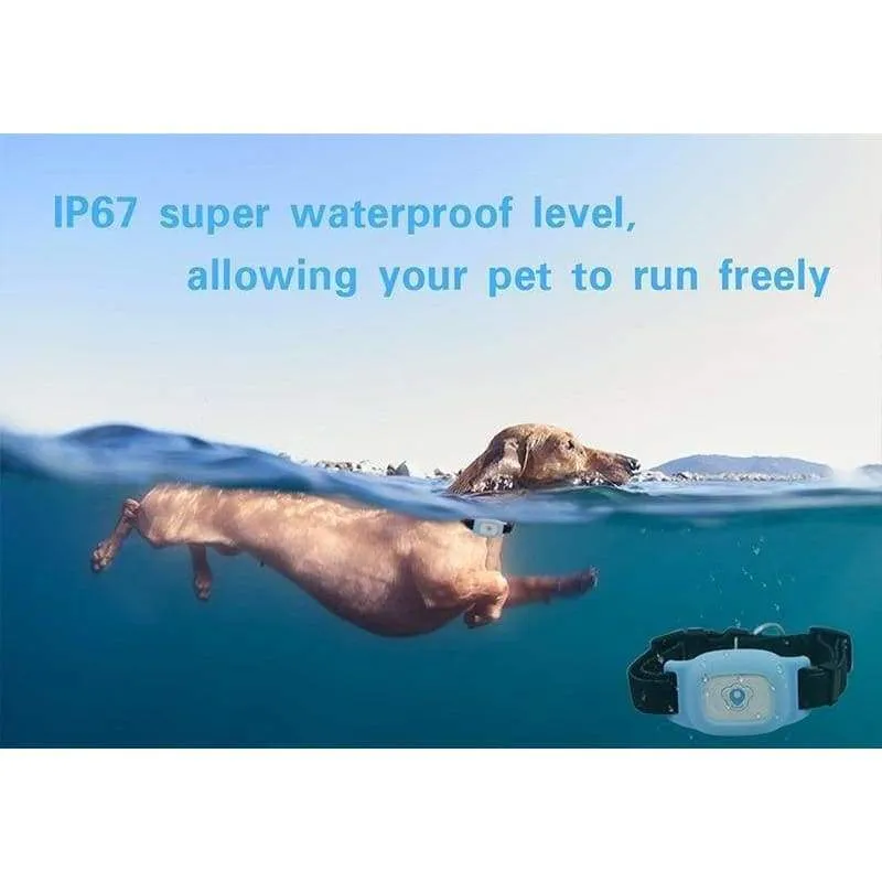 Pet Collar GPS Tracker
