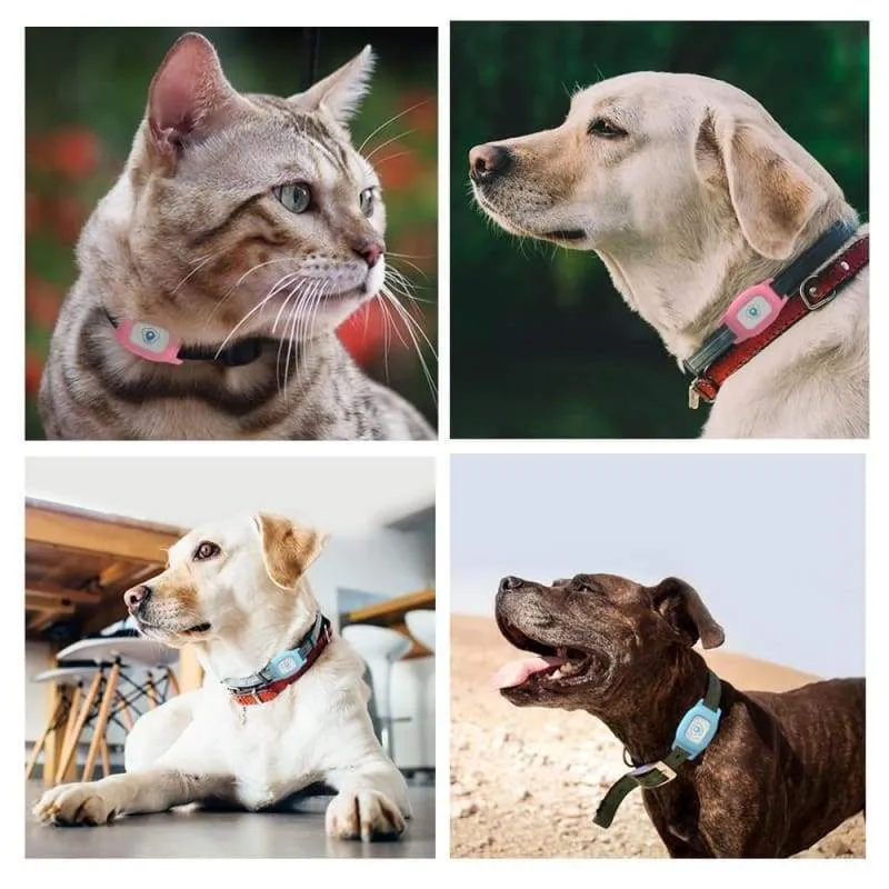 Pet Collar GPS Tracker
