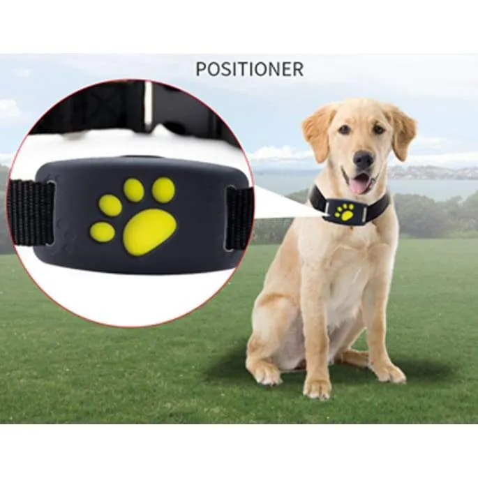 Pet Collar GPS Tracker