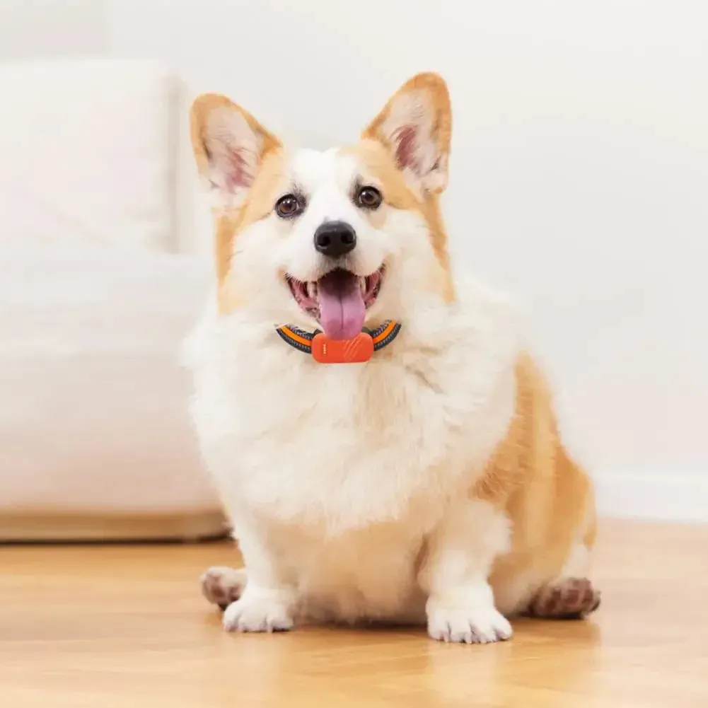 PetAffairs New 4G GPS Tracker Waterproof Anti-Loss for Pets