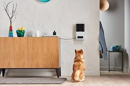 Petcube Bites Pet Camera with Treat Dispenser: HD 1080P Video Monitor, 2-Way Audio, Night Vision, Sound & Motion Alerts. designed for Dogs & Cats