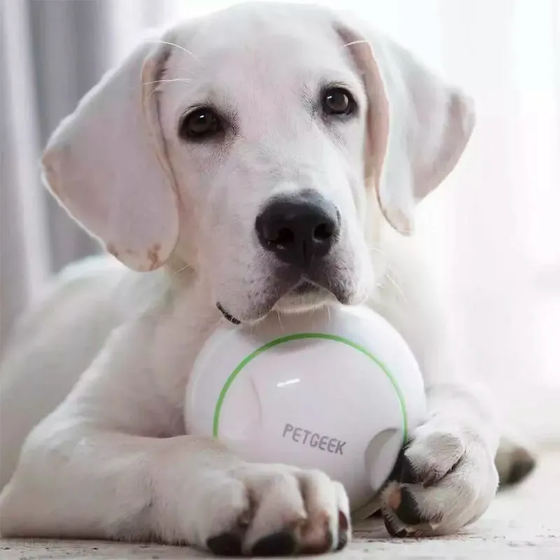 Petgeek Foodie Orb
