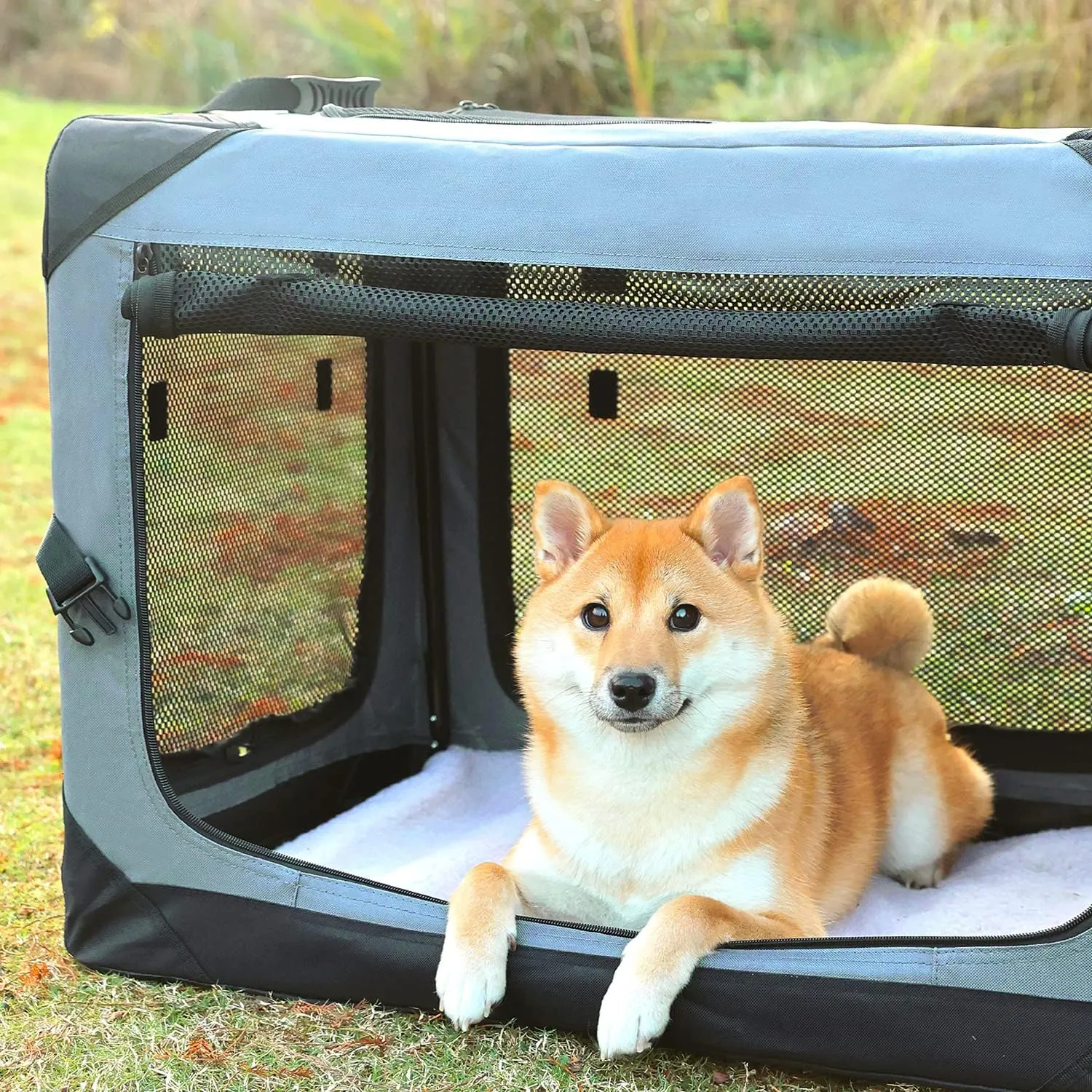 Pettycare 30 Inch Collapsible Dog Crate for Medium Dogs, 4-Door Foldable Soft Dog Kennel with Chew Proof Mesh Windows, Indoor & Outdoor Travel Dog Crate