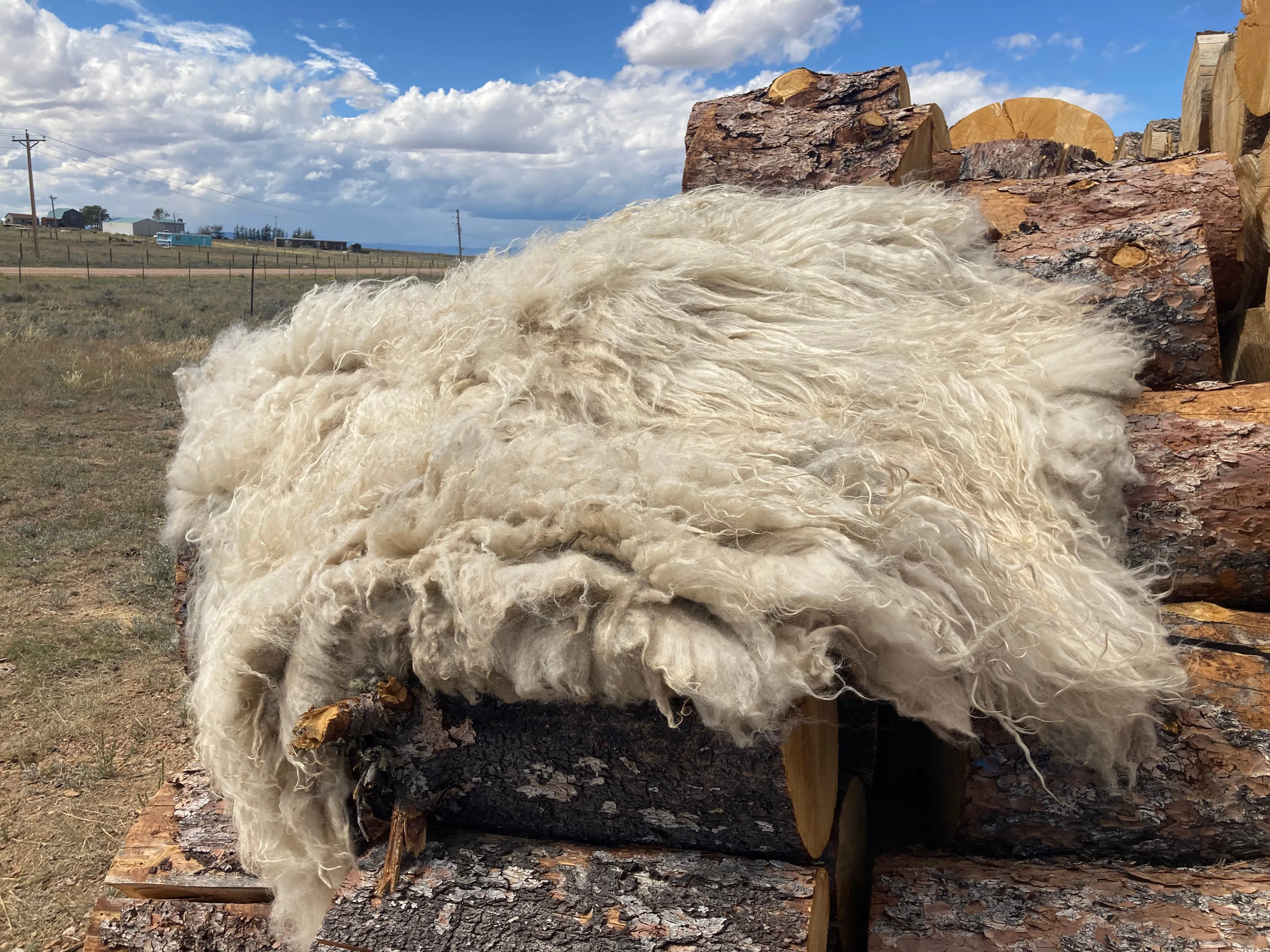 Pre-Made Icelandic Wool Felted Pelt (Ready to Ship or Deliver)